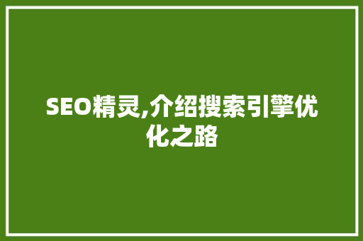 SEO精灵,介绍搜索引擎优化之路 搜狗SEO