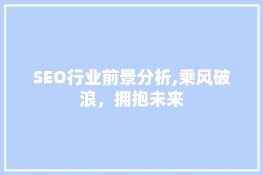 SEO行业前景分析,乘风破浪，拥抱未来 网站建设公司