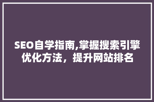 SEO自学指南,掌握搜索引擎优化方法，提升网站排名 搜狗SEO