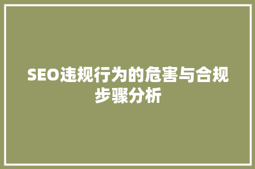 SEO违规行为的危害与合规步骤分析