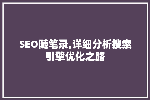 SEO随笔录,详细分析搜索引擎优化之路