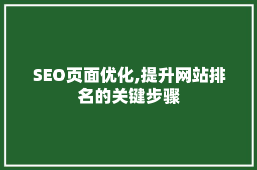SEO页面优化,提升网站排名的关键步骤 神马SEO