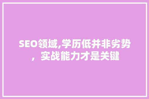 SEO领域,学历低并非劣势，实战能力才是关键