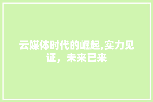 云媒体时代的崛起,实力见证，未来已来 SEO关键词