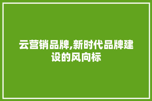 云营销品牌,新时代品牌建设的风向标 搜狗SEO