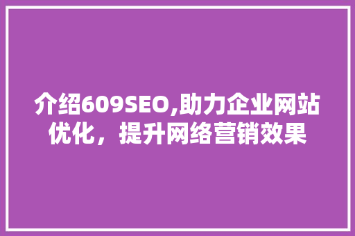 介绍609SEO,助力企业网站优化，提升网络营销效果 神马SEO