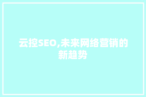 云控SEO,未来网络营销的新趋势 百度SEO
