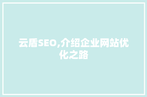 云盾SEO,介绍企业网站优化之路 必应SEO