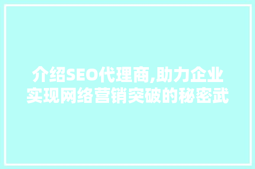 介绍SEO代理商,助力企业实现网络营销突破的秘密武器