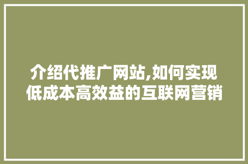 介绍代推广网站,如何实现低成本高效益的互联网营销 SEO关键词