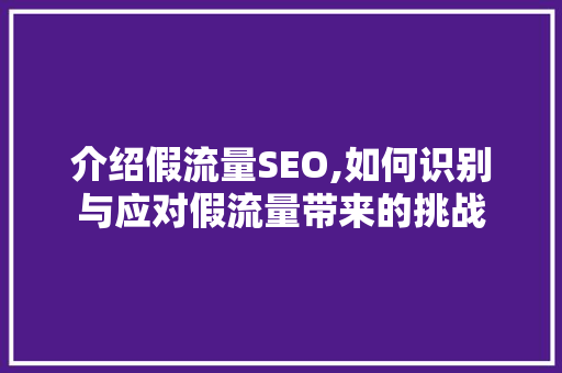 介绍假流量SEO,如何识别与应对假流量带来的挑战