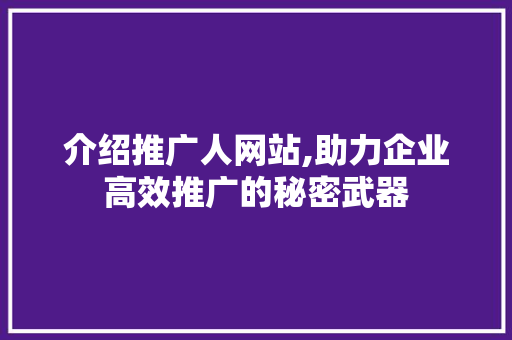 介绍推广人网站,助力企业高效推广的秘密武器 百度SEO