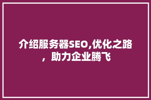 介绍服务器SEO,优化之路，助力企业腾飞 神马SEO