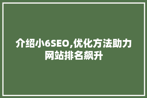 介绍小6SEO,优化方法助力网站排名飙升