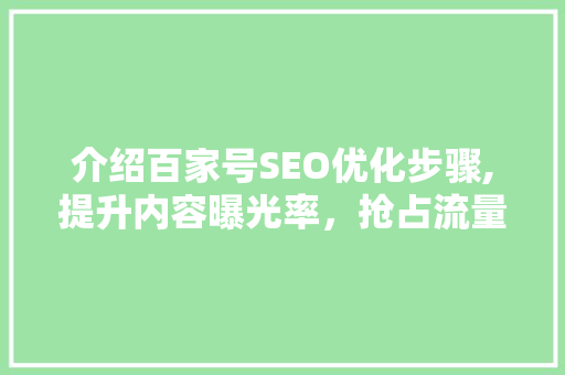 介绍百家号SEO优化步骤,提升内容曝光率，抢占流量高地