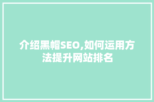 介绍黑帽SEO,如何运用方法提升网站排名 百度SEO