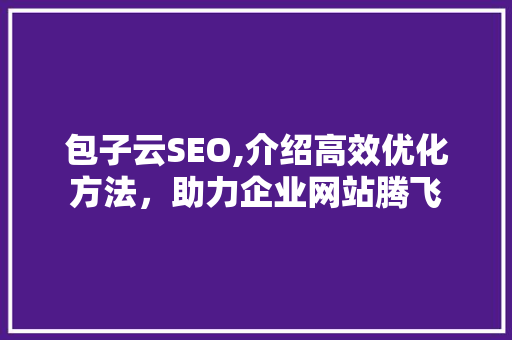 包子云SEO,介绍高效优化方法，助力企业网站腾飞