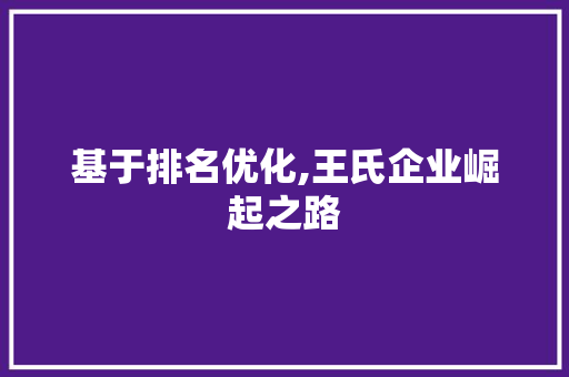 基于排名优化,王氏企业崛起之路 神马SEO