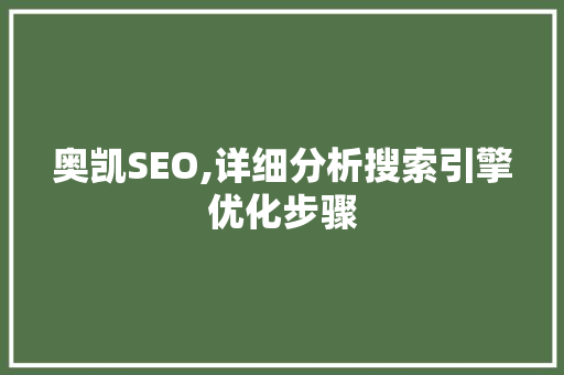 奥凯SEO,详细分析搜索引擎优化步骤 网站建设公司