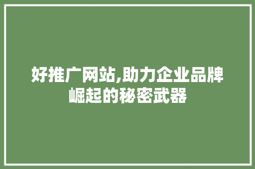 好推广网站,助力企业品牌崛起的秘密武器 神马SEO