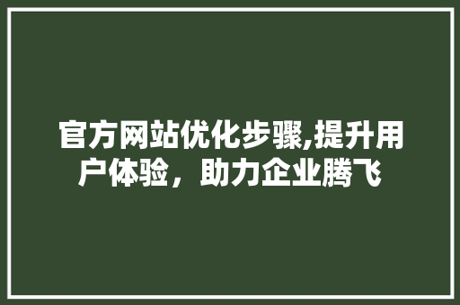 官方网站优化步骤,提升用户体验，助力企业腾飞 SEO关键词