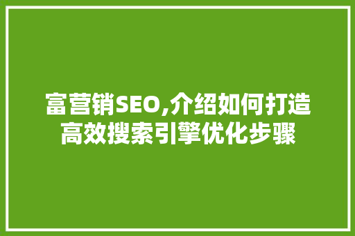 富营销SEO,介绍如何打造高效搜索引擎优化步骤 SEO关键词