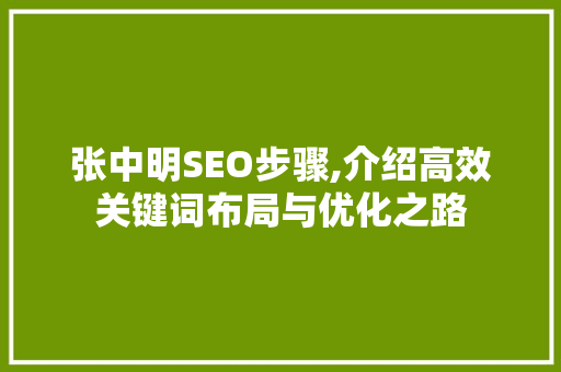 张中明SEO步骤,介绍高效关键词布局与优化之路