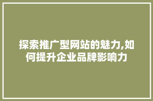 探索推广型网站的魅力,如何提升企业品牌影响力