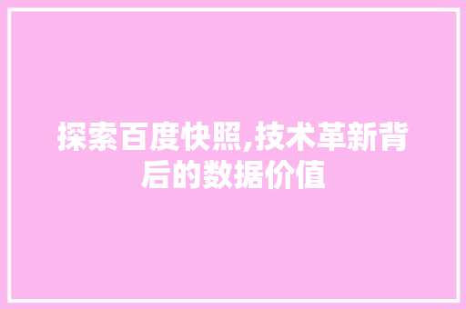 探索百度快照,技术革新背后的数据价值 SEO关键词