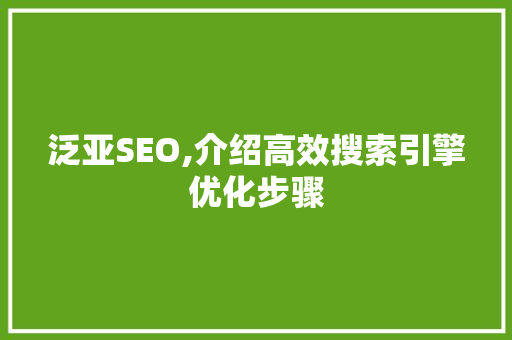 泛亚SEO,介绍高效搜索引擎优化步骤 必应SEO