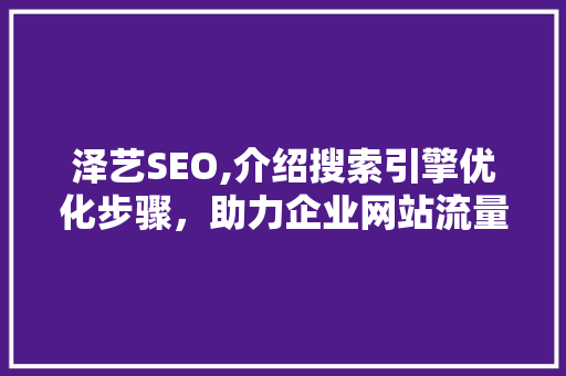 泽艺SEO,介绍搜索引擎优化步骤，助力企业网站流量增长 网站建设公司