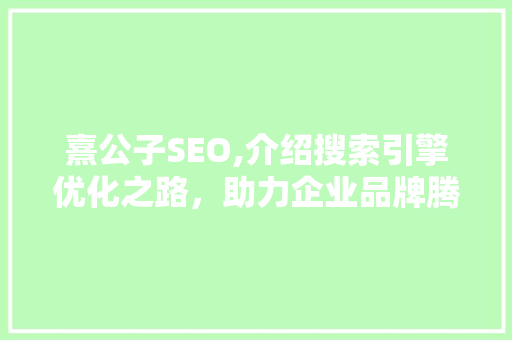 熹公子SEO,介绍搜索引擎优化之路，助力企业品牌腾飞 百度SEO