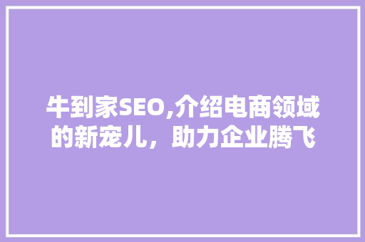 牛到家SEO,介绍电商领域的新宠儿，助力企业腾飞 网站建设公司
