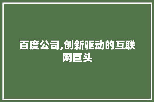 百度公司,创新驱动的互联网巨头