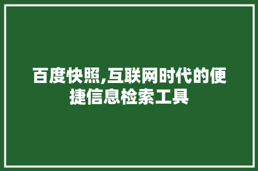 百度快照,互联网时代的便捷信息检索工具 搜狗SEO