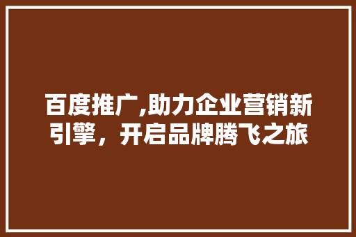 百度推广,助力企业营销新引擎，开启品牌腾飞之旅 网站建设公司