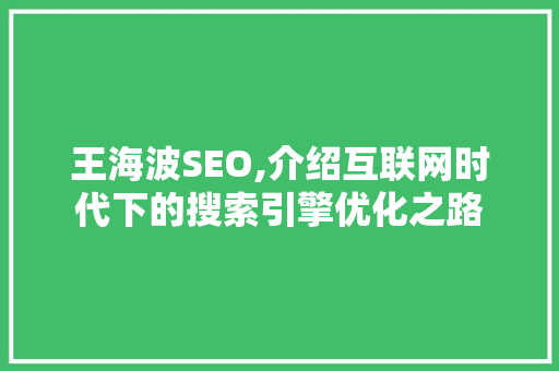 王海波SEO,介绍互联网时代下的搜索引擎优化之路 SEO关键词