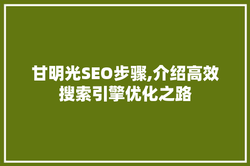 甘明光SEO步骤,介绍高效搜索引擎优化之路 SEO关键词