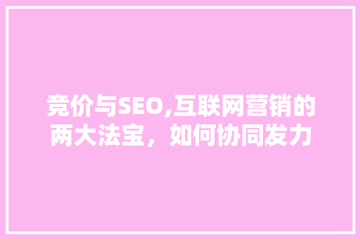 竞价与SEO,互联网营销的两大法宝，如何协同发力 网站建设公司
