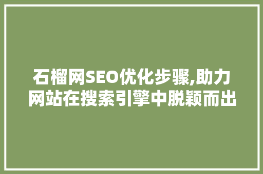 石榴网SEO优化步骤,助力网站在搜索引擎中脱颖而出 百度SEO