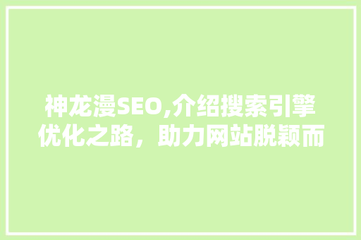 神龙漫SEO,介绍搜索引擎优化之路，助力网站脱颖而出 神马SEO