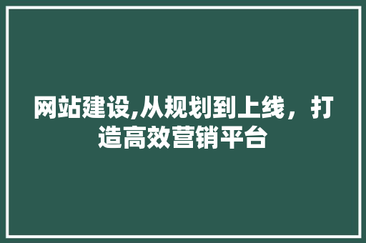 网站建设,从规划到上线，打造高效营销平台 百度SEO