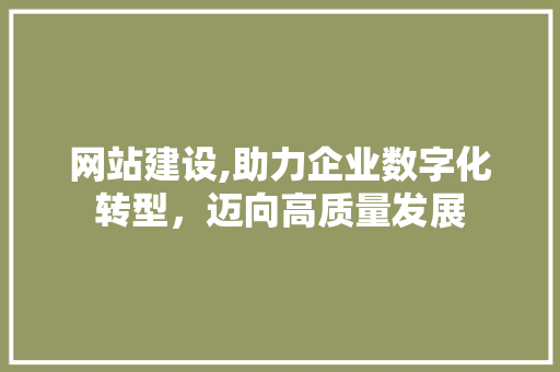 网站建设,助力企业数字化转型，迈向高质量发展 网站建设公司