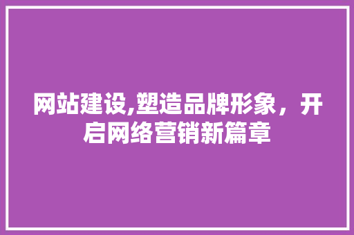 网站建设,塑造品牌形象，开启网络营销新篇章 百度SEO