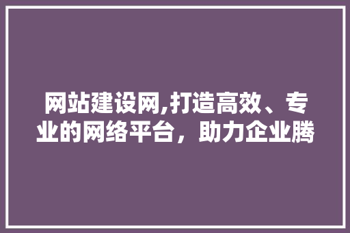 网站建设网,打造高效、专业的网络平台，助力企业腾飞 神马SEO
