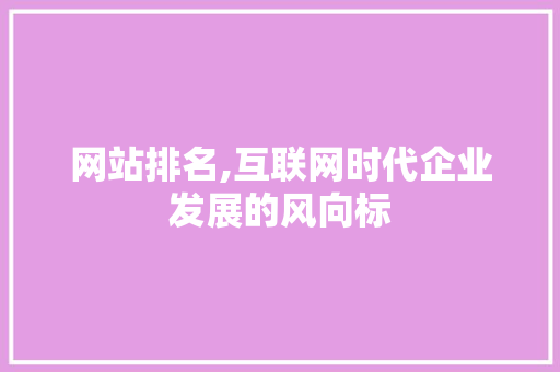 网站排名,互联网时代企业发展的风向标 神马SEO