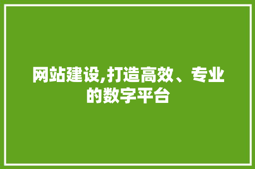 网站建设,打造高效、专业的数字平台 网站建设公司