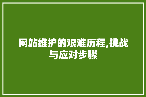 网站维护的艰难历程,挑战与应对步骤 SEO关键词 网站维护的艰难历程,挑战与应对步骤 SEO关键词