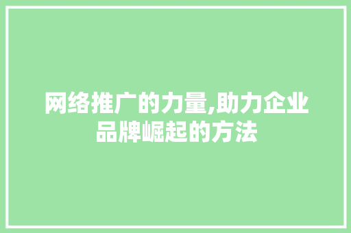 网络推广的力量,助力企业品牌崛起的方法 神马SEO