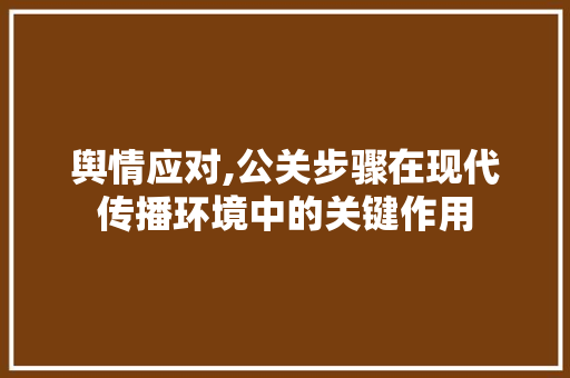 舆情应对,公关步骤在现代传播环境中的关键作用